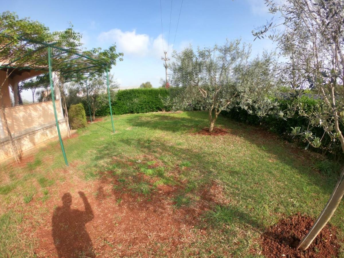 Spacious Apartment With Parking&Garden Marcana Exterior photo